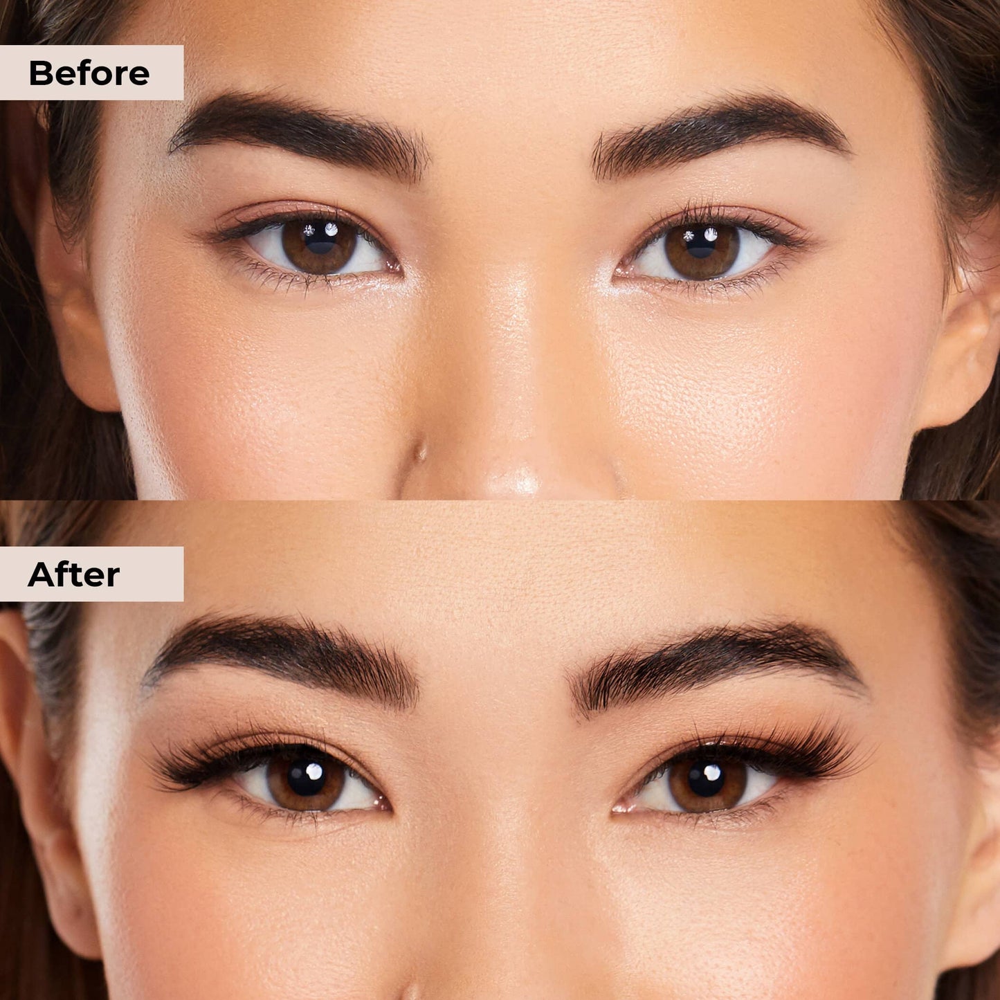 LashLux Kit™